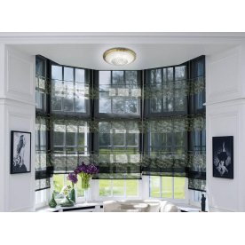 Настенно-потолочный светильник Eleka 2072/BL