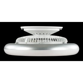 Настенно-потолочный светильник FAN 3036/72EL