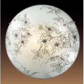 Настенно-потолочный светильник Forti 2211