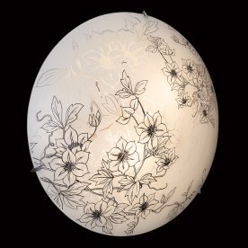 Настенно-потолочный светильник Forti 2211