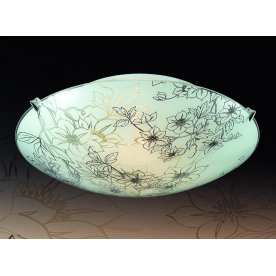 Настенно-потолочный светильник Forti 2211