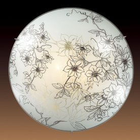 Настенно-потолочный светильник Forti 3211