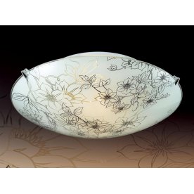 Настенно-потолочный светильник Forti 3211