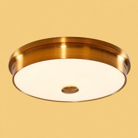 Настенно-потолочный светильник Фостер-2 CL706232