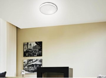 Настенно-потолочный светильник Gino 2045/EL