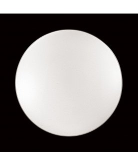 Настенно-потолочный светильник Leka 2051/EL