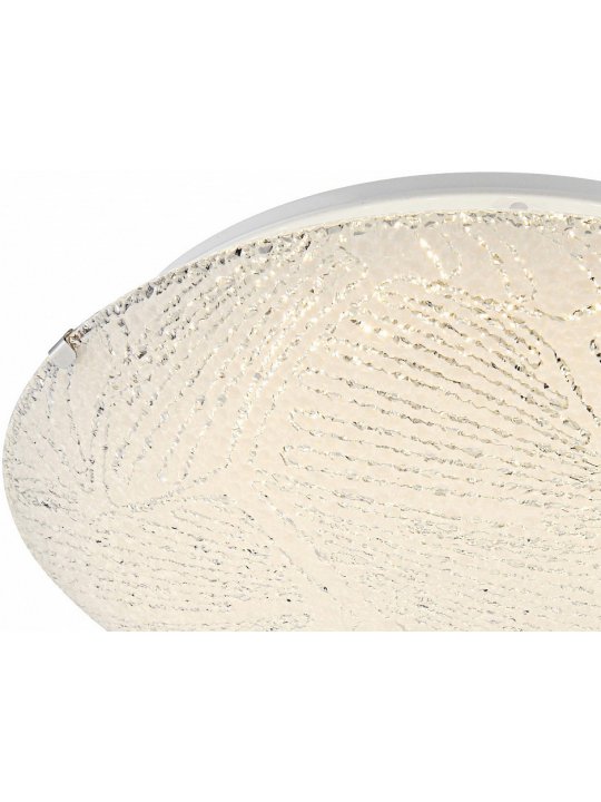 Настенно-потолочный светильник Noir 40481