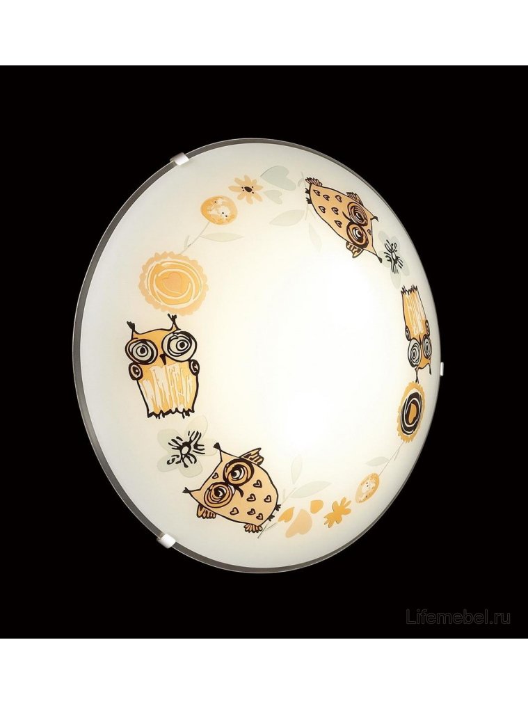 Настенно-потолочный светильник Ovi 2067/BL