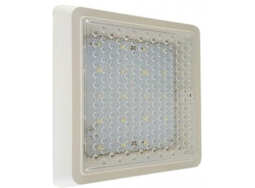 Настенно-потолочный светильник Сигма 08583