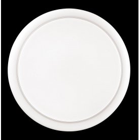 Настенно-потолочный светильник SMALLI 3022/AL