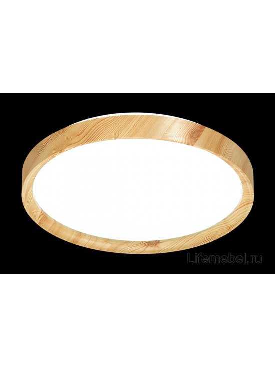 Настенно-потолочный светильник WOODI 3019/DL
