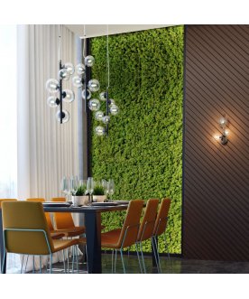 Подвесной светильник 4818/6