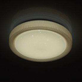 Потолочная люстра Ривз 674014001