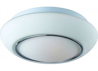 Потолочный светильник ST Luce Bagno SL497.502.02