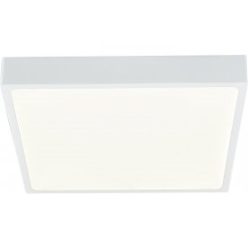 Потолочный светильник Alena 12365-30