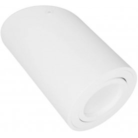 Потолочный светильник LDC 8060-D JP-D80*H130 WT