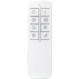 Потолочный светильник Arryn 49252-100G