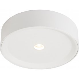 Потолочный светильник Arthur 55005-10