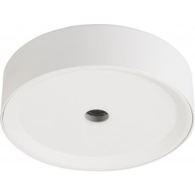 Потолочный светильник Arthur 55005-10