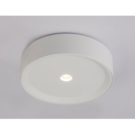 Потолочный светильник Arthur 55005-10