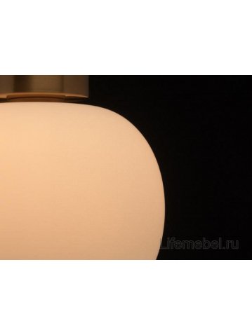 Потолочный светильник Ауксис 722010101