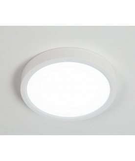 Потолочный светильник Бейсик CL738120N