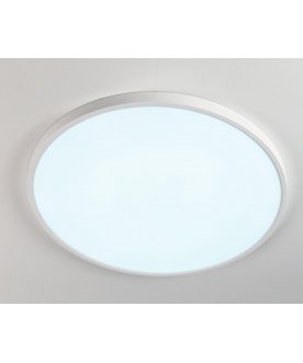 Потолочный светильник Бейсик CL738400V