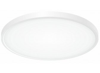 Потолочный светильник Бейсик CL738400V