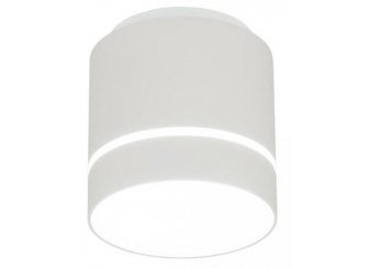 Потолочный светильник CL745020N