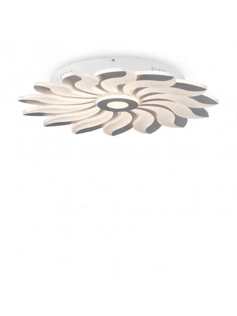 Потолочный светильник Cameron FR10023CL-L127W