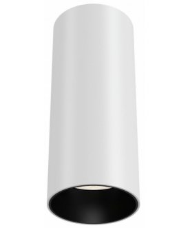 Потолочный светильник Ceiling & Wall C056CL-L12W3K-W-W