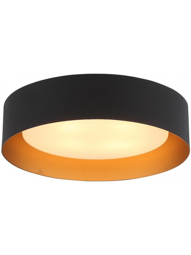 Потолочный светильник Chio SL392.422.04