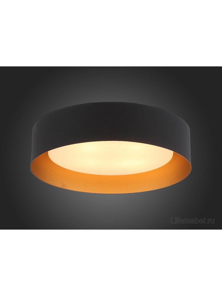 Потолочный светильник Chio SL392.422.04