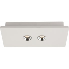 Потолочный светильник Christine 55010-2