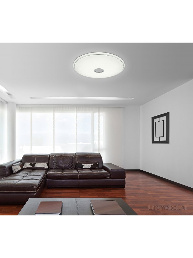 Потолочный светильник Connor 41386-80