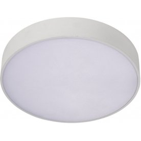 Потолочный светильник APL.0113.09.24