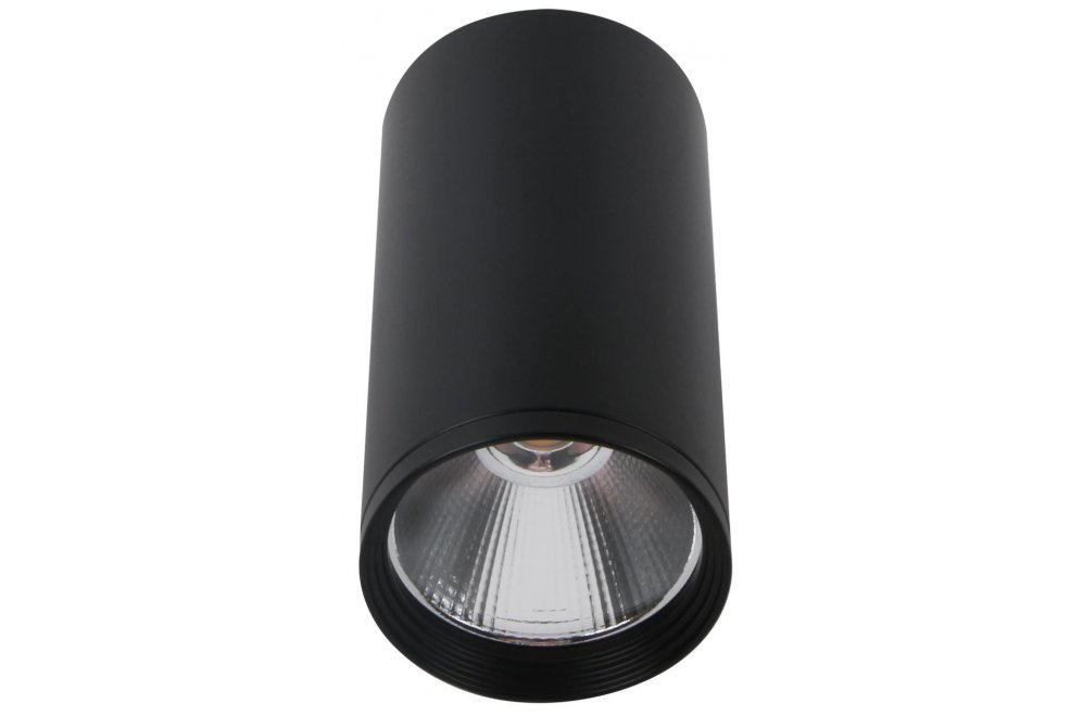 Потолочный светильник Фабио 08570-10,19