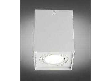 Потолочный светильник Feletto OML-101109-01