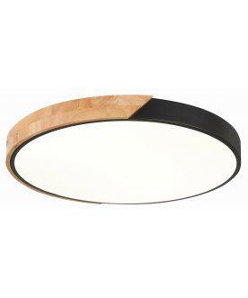 Потолочный светильник SLE200942-01