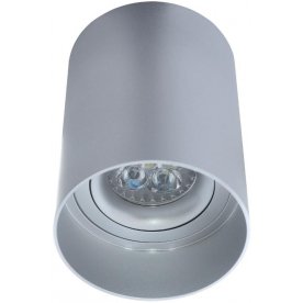 Потолочный светильник LDC 8053-A SS-D85*H115 SL