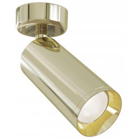 Потолочный светильник Focus C017CW-01G