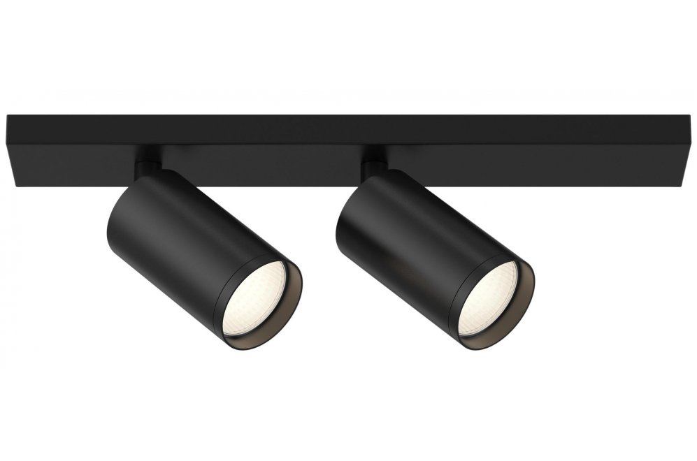 Потолочный светильник FOCUS S C051CL-2B