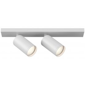 Потолочный светильник C051CL-2W