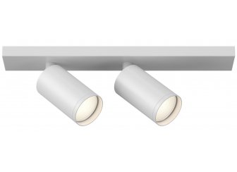 Потолочный светильник C051CL-2W