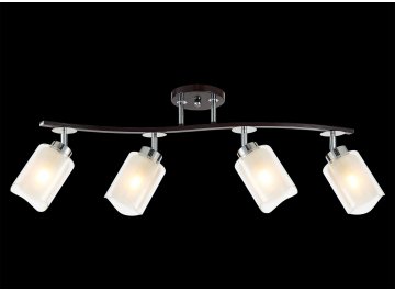 Потолочный светильник Фортуна CL156142