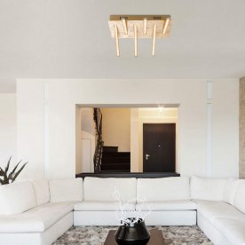 Потолочный светильник Fuego 67832-30G