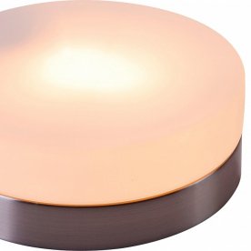 Потолочный светильник Opal 48401