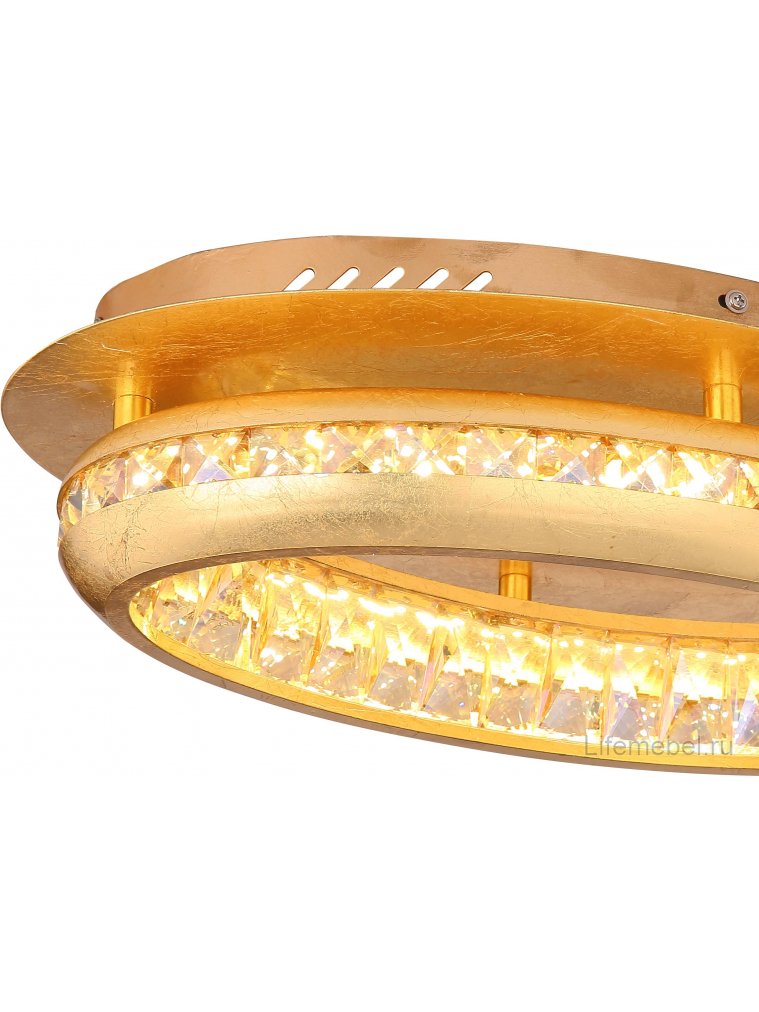 Потолочный светильник Hommi 67096-18G