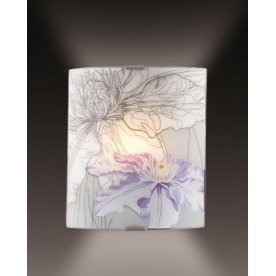 Потолочный светильник Iris 2230