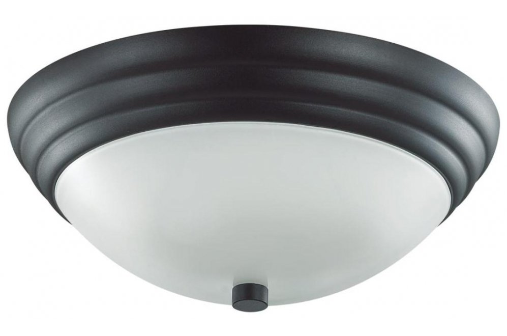 Потолочный светильник Kayla 5263/2C